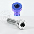 Proti M10 Rear Wheel Bolt Kit for the BMW R nineT '13-26, R Ninet /5 '20-26 & etc. Proti M10 Rear Wheel Bolt Kit for the BMW R nineT '13-26, R Ninet /5 '20-26 & etc.